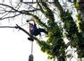 RAW Tree Care Ltd Wolverhampton